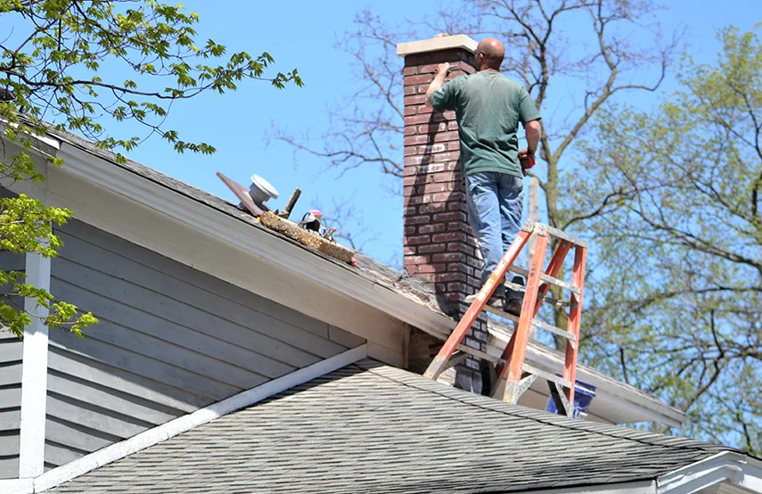 Chimney & Fireplace Inspections Services in Mountain Brook, AL